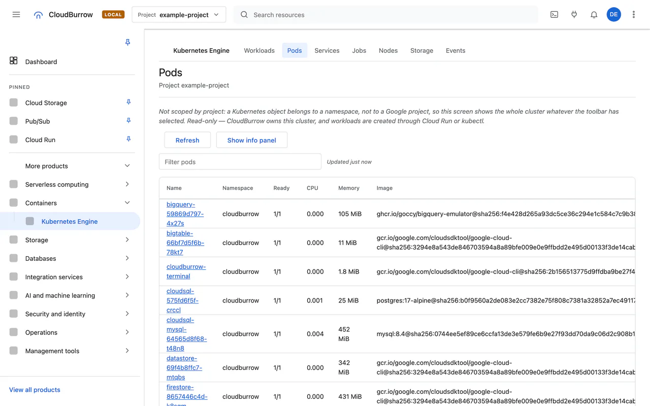 Read-only Kubernetes pods of the local cluster